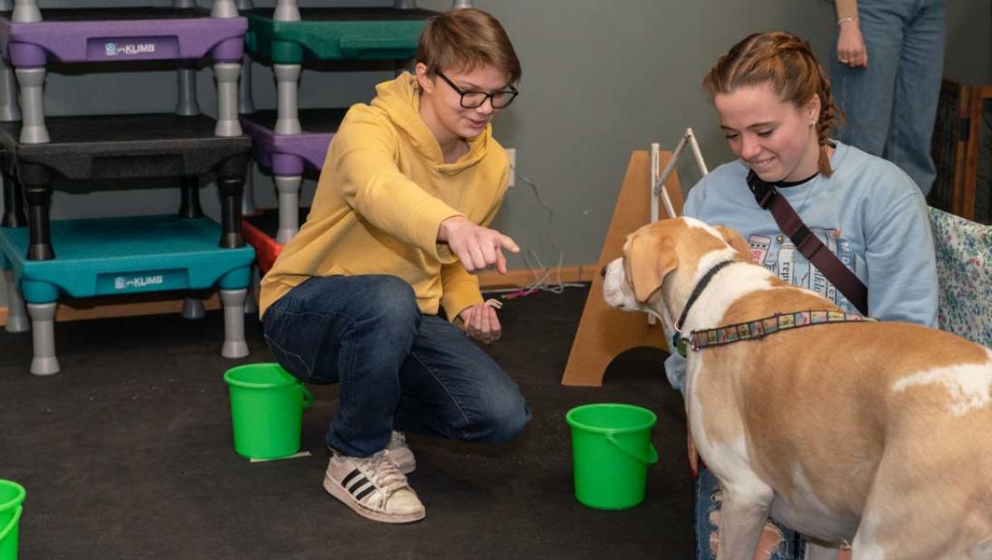 dog behavior biology study 2023