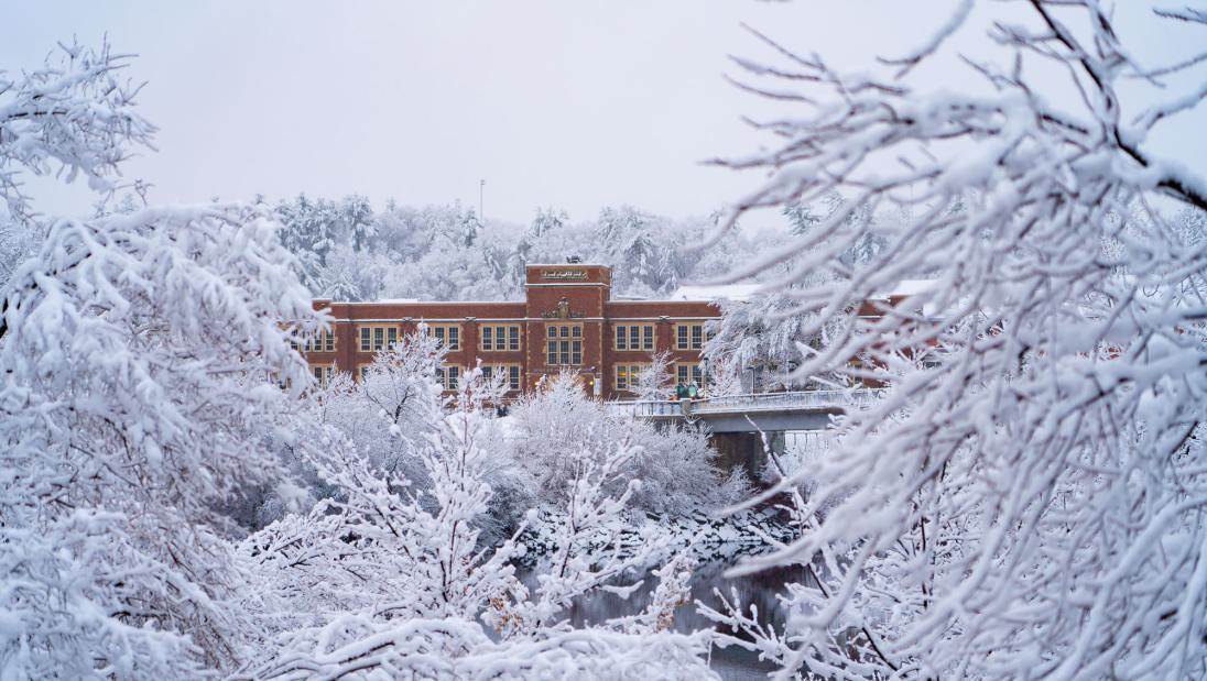 Schofield Hall seen from across the river between snow-covered branches.