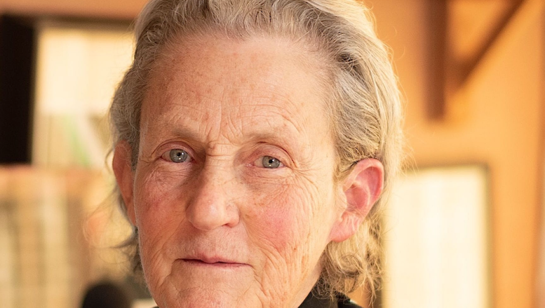 An older woman smiles at the camera.