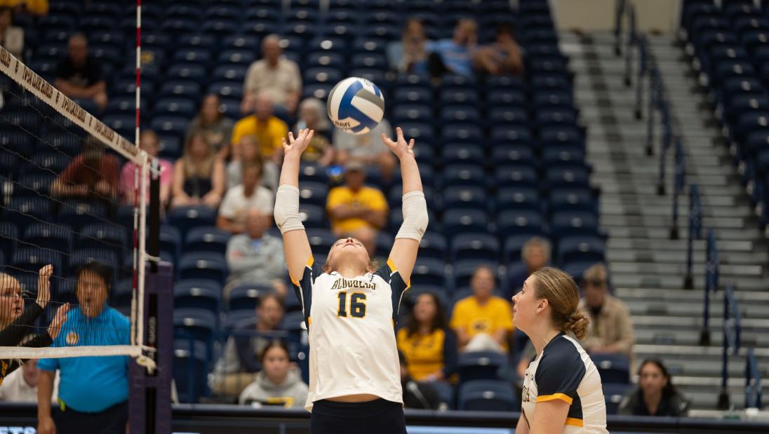 Blugold women's volleyball in Sonnentag