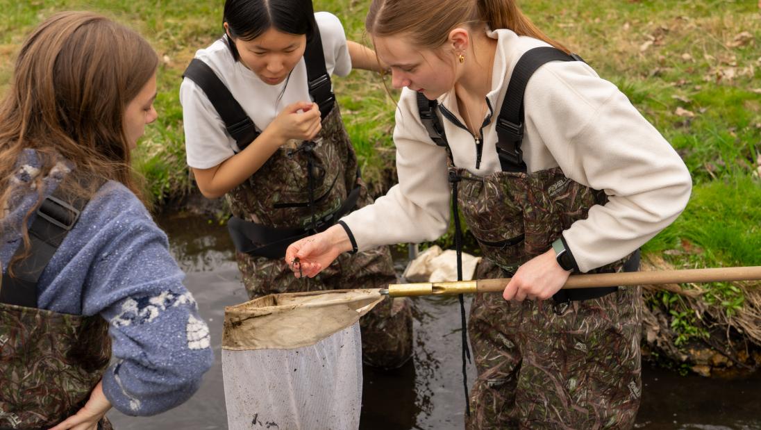three students examine what they have collected in a net in a stream
