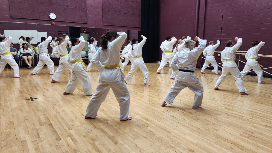 Professor Mahaffy's honors karate class practice in Gi