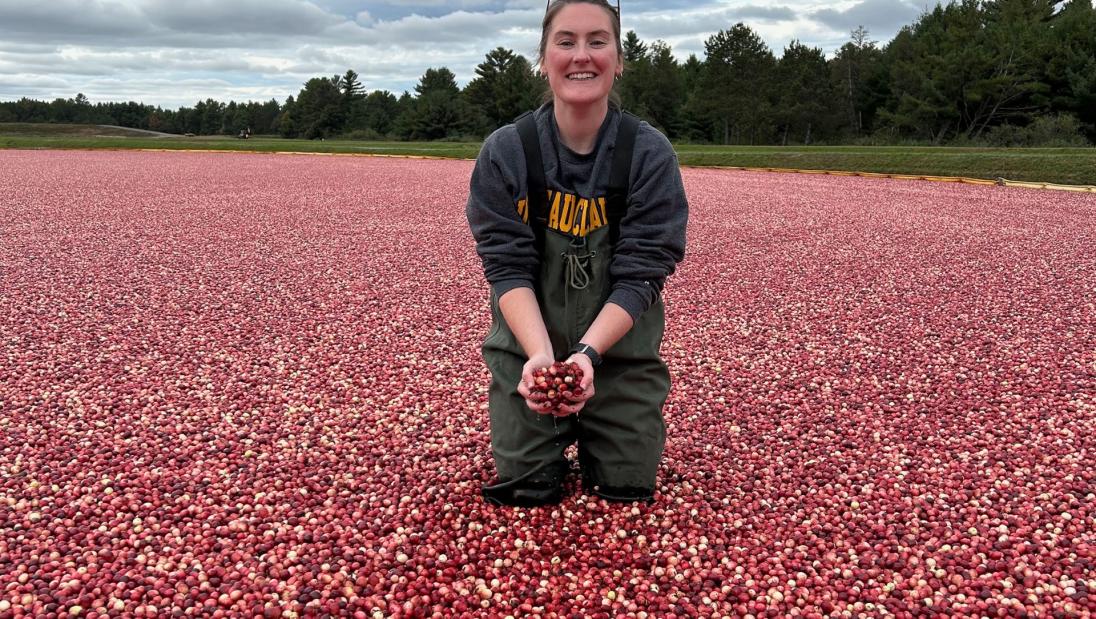 Bridget McGivern Cranberry Innovation Center field work