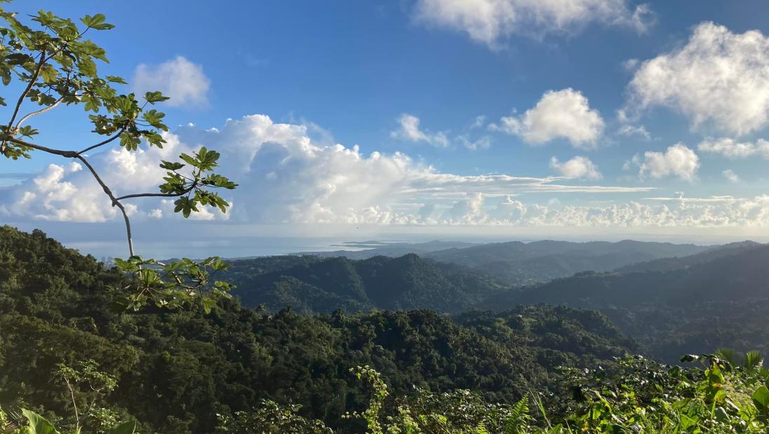 Service Work in Puerto Rico Puerto Rico 2022
