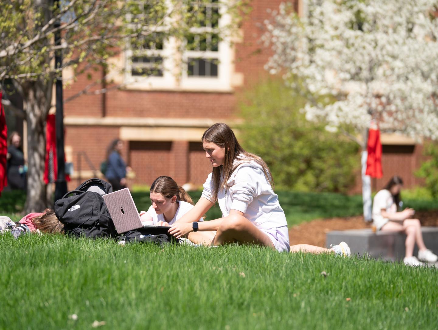 Students study on the campus mall among fresh blooms on a Spring day.