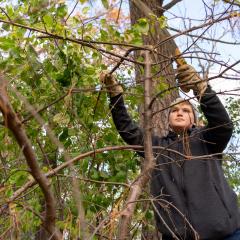 A picture of an individual participates in environmental conservation
