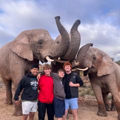 Students post with elephants during a study abroad experience in South Africa