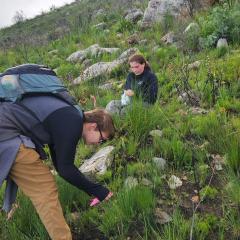 Nora Mitchell South Africa research