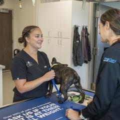 female vet tech and doctor talking over exam table