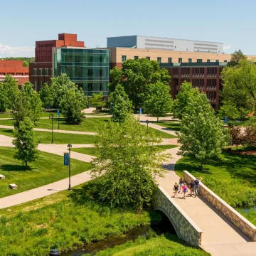 Campus mall from Davies roof summer