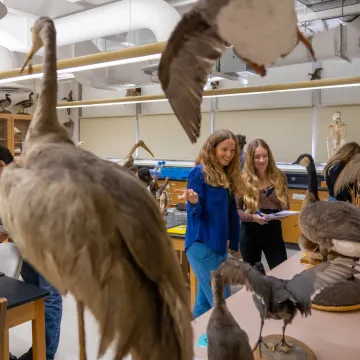 A biology professor and a student talk while studying bird taxidermy