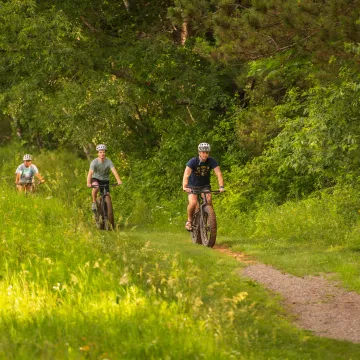 A group of bikers ride through a grassy trail in the summer