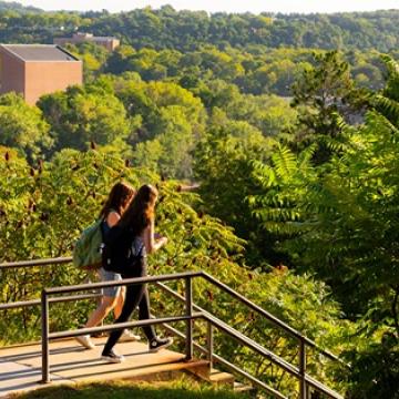 students at top of stairs headed to lower campus, lush green summer 