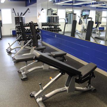 Benchs for free weight workouts