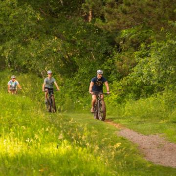 A group of bikers ride through a grassy trail in the summer