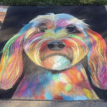 Chalk Drawing of a colorful dog | Chalkfest Audience Favorite runner up