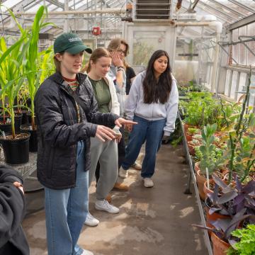 Students visit the greenhouse on campus during a sustainability event