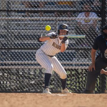 A Blugold softball player bunts a ball during a game.