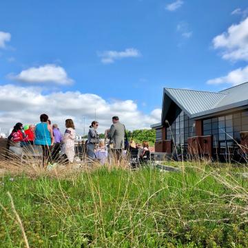 Davies - Rooftop Terrace (301) - green roof 2