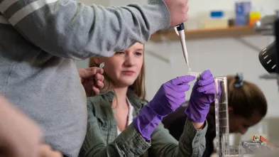 samples being prepped in biology lab