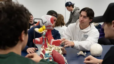 anatomy lab KINS biology