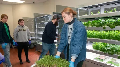 Student holds tray of green sprouting seedlings