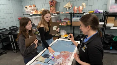 A professor and two students work with a touchscreen, digital table showing human brain anatomy.