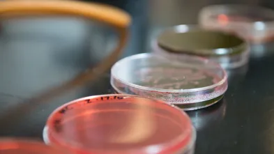 Current and future Blugolds already are showing interest in UW-Eau Claire’s new public health major, available for the first time this fall.