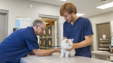 Pre-vet student examines a dog in a vet office.