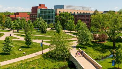 Campus mall from Davies roof summer