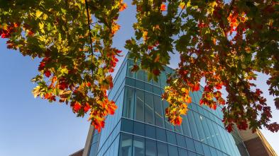 fall scene 