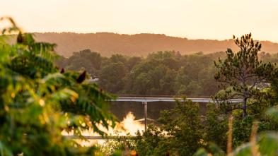Drone shot of campus and bridge 