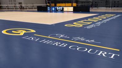 New court at Sonnentag for volleyball