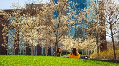Two students sit under newly budded trees on a sunny Spring day.