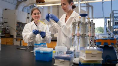Dr. Bridget McGivern Alena Donahue cranberry soil microbiome research Phillips lab