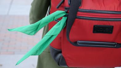 Green bandana project