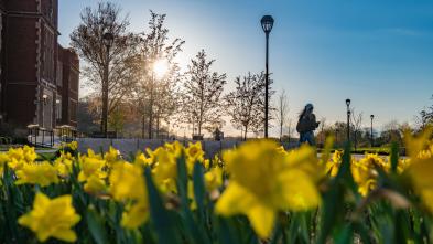 Campus flowers in summer