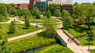 Campus mall in summer