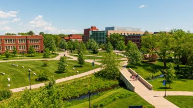 Campus mall in spring