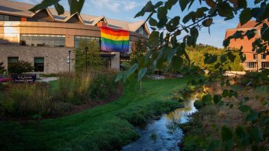 Pride Flag hangs from the Davie's Center