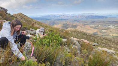 Nora Mitchell South Africa research