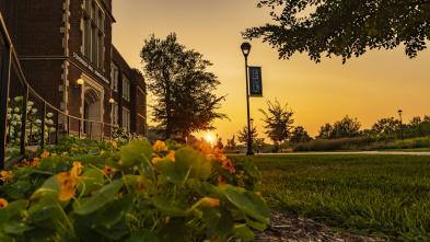 Campus beauty