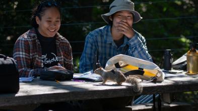 two students working at an outdoor table, a squirrel is on the table; surprised and laughing faces on the students