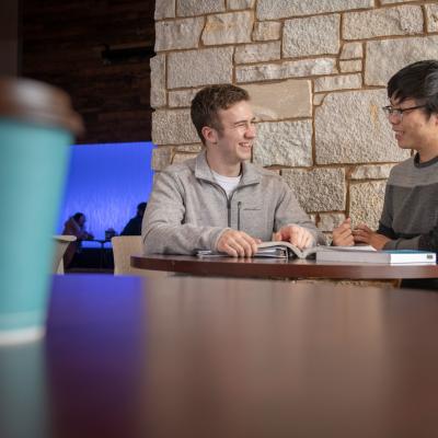 Language tutoring, Chinese