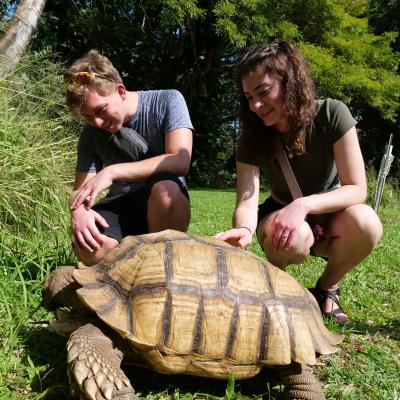 students with tortoise in Hawaii