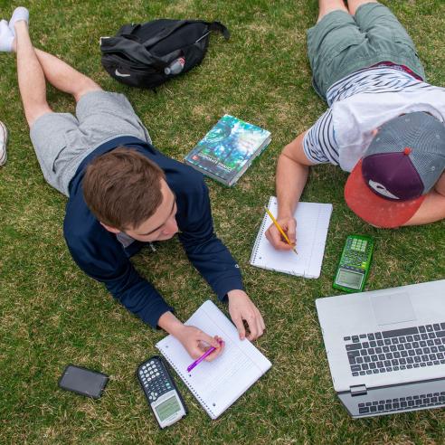 students studying on the lawn 