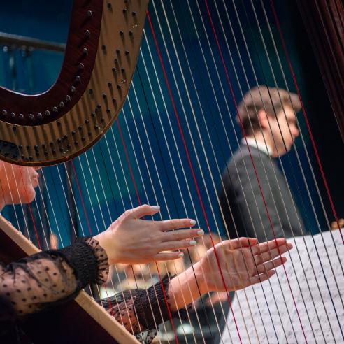A picture of an individual playing harp