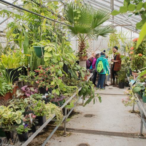 A group of people exploring the diverse plant collection inside the greenhouse at UWEC