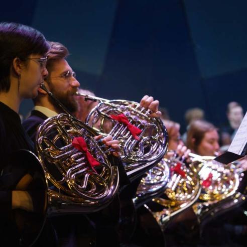 Musicians performing on the large orchestra concert,