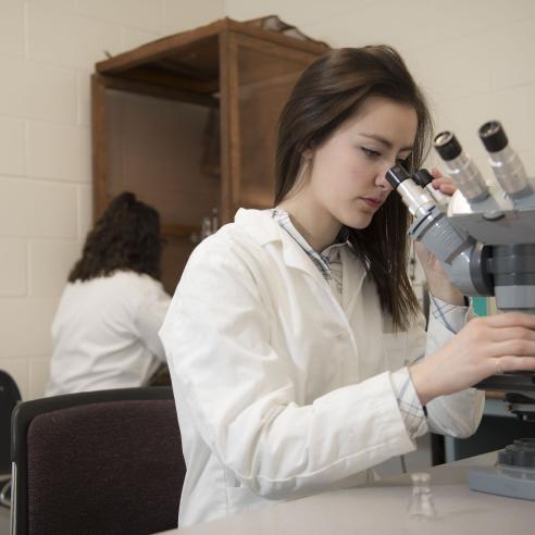 An individual study through a microscope in the lab